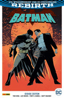 Batman - Paperback 8: Eisige Zeiten