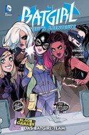 Batgirl - Die neuen Abenteuer 3: Das Batgirl-Team