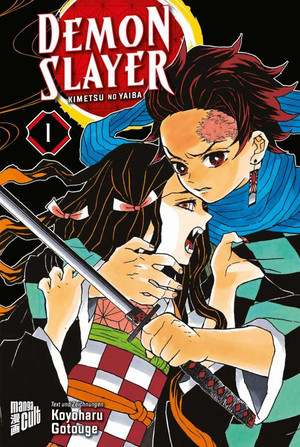 Demon Slayer - Kimetsu no Yaiba 01