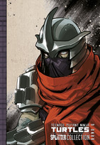 Teenage Mutant Ninja Turtles - SPLITTER Collection: Band 6