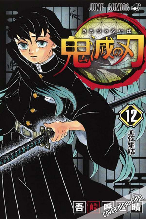 Demon Slayer - Kimetsu no Yaiba 12