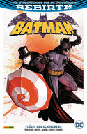 Batman - Paperback 9: Flügel des Schreckens