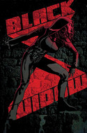 Black Widow - Bd.2