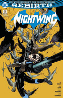 Nightwing 5: Raptors Rache