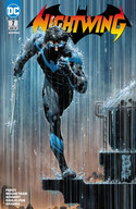 Nightwing 7: Gefangen im Dark Web
